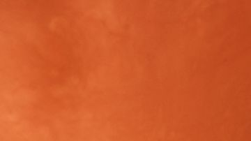 El regreso más esperado: A partir del 25 de agosto, el icónico Pumpkin Spice Latte encabeza el nuevo menú de otoño de Starbucks junto a bebidas de nuez pecana, pan de plátano y el novedoso Chaider.