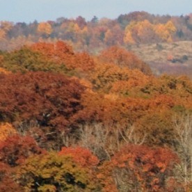 Durante el otoño, el pueblo adquiere un atractivo especial: los árboles del valle cambian a tonos rojizos, amarillos y naranjas.