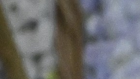 Georgina Rodríguez se casó recientemente con el astro portugués.