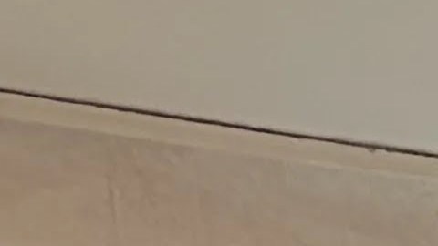 Desde la ventana de un apartamento, tres generaciones de una familia hispana observan una ciudad marcada por la tragedia.