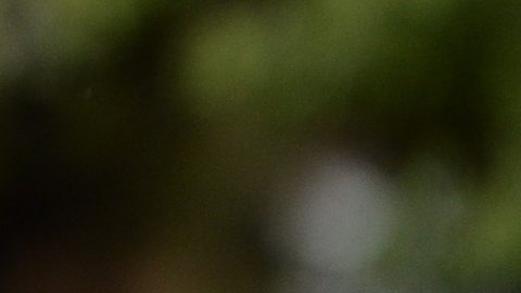 Robo con violencia contra portero de Club León.