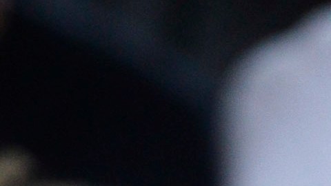 Julio Iglesias había obtenido esa propiedad hace aproximadamente un año.