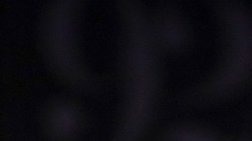 Mikie Sherrill dice que respaldaría una ley de identificación para votar en Nueva Jersey; organizaciones lanzan advertencia