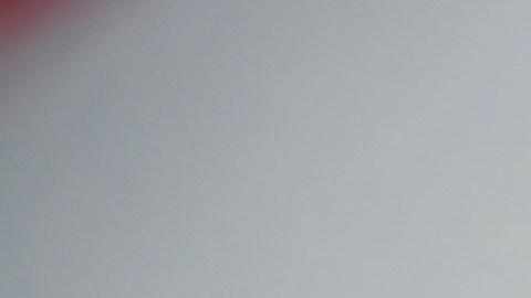 La demanda indica que el pedido de Wendy's estaba sellado y sin abrir, además de que la hamburguesa, a simple vista, no presentaba problemas.