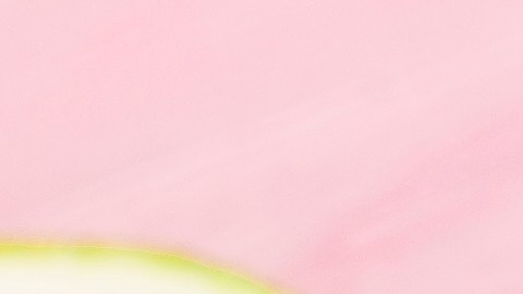 La empresa Dreyer's Grand Ice Cream anunció el retiro preventivo de cinco sabores de paletas de fruta Outshine.