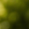 Para obtener el mayor beneficio posible de heredar una vivienda, consulta con un contador antes de firmar cualquier venta.
