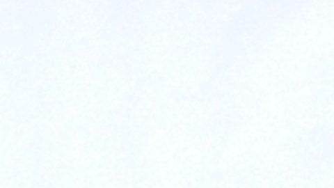 Paulina Rubio y Colate anunciaron su separación en el 2012.
