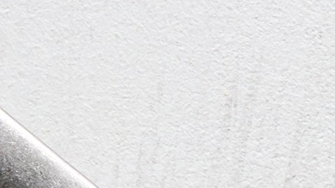 Proteína de semillas en polvo: una alternativa práctica y económica para sumar proteínas a tus batidos, avena o yogur.