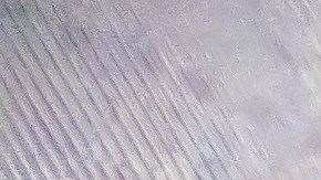 Terremoto