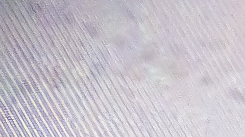 Terremoto