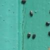 ¿Sabías que comer fibra sin saber qué tipo necesitas puede empeorar tu estreñimiento? Una experta revela los secretos de la chía, la linaza y la avena para transformar tu salud digestiva