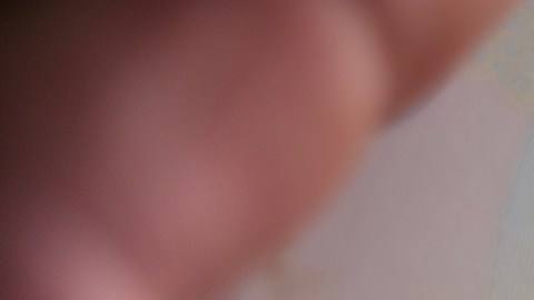 Trump prepara revocación de hasta 200,000 visas de extranjeros que solicitaron asilo en EE.UU.