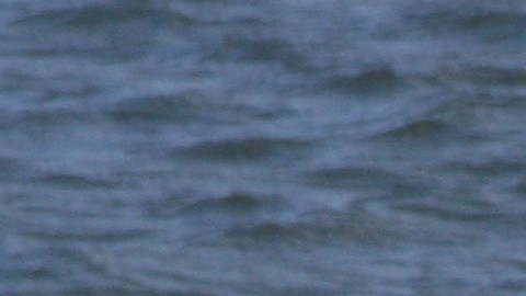 Bote Guardia Costera