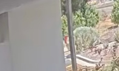 Video muestra caótica escena durante tiroteo en restaurante In-N-Out de Idaho que dejó tres muertos