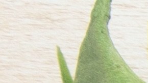 El salmón fresco y las sardinas son de los alimentos con vitamina D más concentrados y nutritivos para incluir en tus comidas.