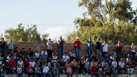 Manada de vacas irrumpió en partido en México.