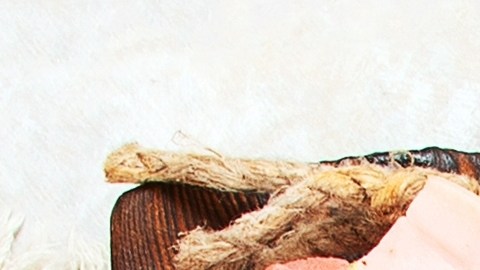La seguridad alimentaria empieza en casa: conocer la manipulación correcta de carnes y respetar la cocción adecuada de cada proteína es la mejor herramienta para prevenir intoxicaciones alimentarias por salmonella o E. coli.