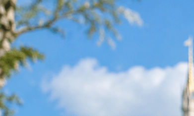 Empleados de un parque temático realizan tareas de limpieza y mantenimiento frente a un castillo en Florida.