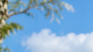 Empleados de un parque temático realizan tareas de limpieza y mantenimiento frente a un castillo en Florida.