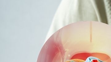 Una estrategia nutricional más allá de las modas pasajeras. Desde las propiedades de la remolacha hasta los beneficios del ácido málico en la manzana, hay combinaciones sencillas, respaldadas y deliciosas para limpiar tu hígado.