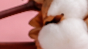 Tampones, toallas sanitarias y productos de higiene femenina sobre un fondo rosa, en una imagen ilustrativa sobre la propuesta de Nueva York para restringir ciertos ingredientes