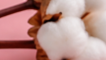 Tampones, toallas sanitarias y productos de higiene femenina sobre un fondo rosa, en una imagen ilustrativa sobre la propuesta de Nueva York para restringir ciertos ingredientes