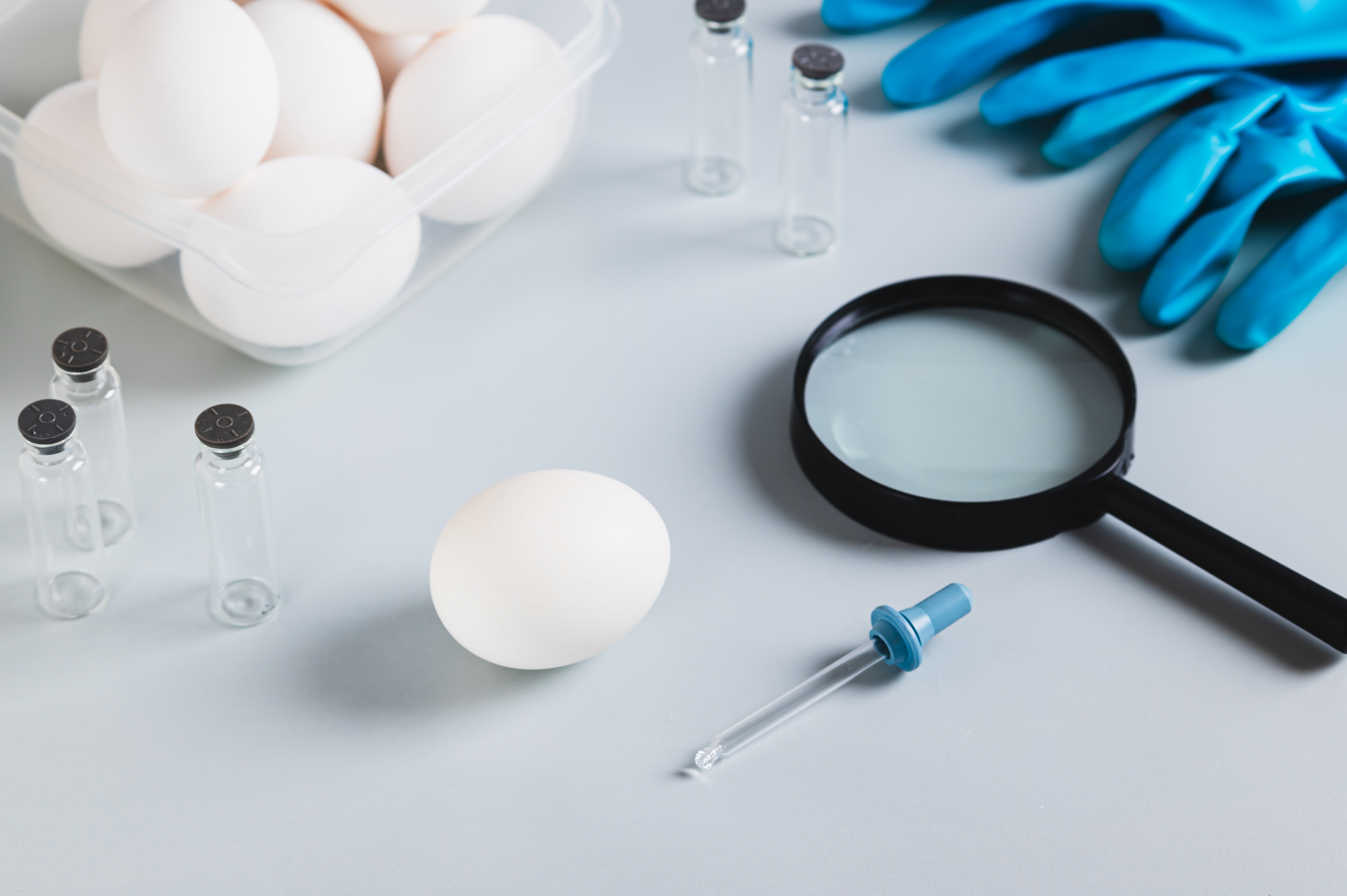 Casi 100 enfermos por salmonella en EE. UU.: investigan brote masivo ligado al consumo de huevos