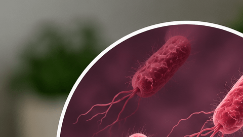 Mujer con fuerte dolor abdominal después de comer, junto a una ilustración de bacterias relacionadas con la salmonela.