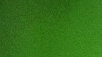 seguro-social-seguridad-suplementario