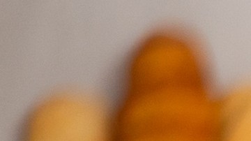 seguro-social-trabajar-sin-perder-beneficios-jubilados