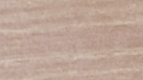 Las ramitas y hojas frescas de guayaba esconden compuestos medicinales ideales para regular la glicemia y cuidar el sistema inmunológico.