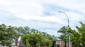 El Proyecto de Mediana Verde en Whitestone