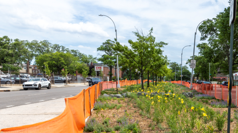 El Proyecto de Mediana Verde en Whitestone