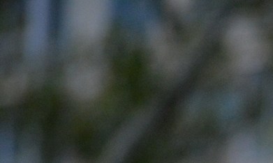 ¿Cuáles son los errores que pueden poner a un beneficiario de DACA en riesgo de deportación