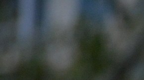 ¿Cuáles son los errores que pueden poner a un beneficiario de DACA en riesgo de deportación