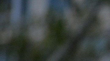¿Cuáles son los errores que pueden poner a un beneficiario de DACA en riesgo de deportación