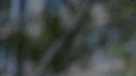 ¿Cuáles son los errores que pueden poner a un beneficiario de DACA en riesgo de deportación