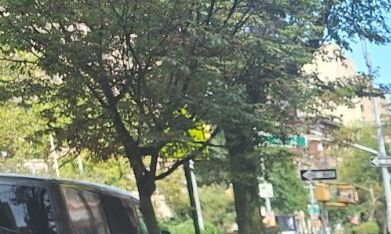 Con 89 años de edad, el ecuatoriano Próspero Solis es un testimonio viviente del desplome de la calidad del trabajo versus los ingresos en NYC durante el último medio siglo.