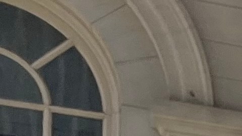 Estudiantes de CUNY tendrán transporte público gratis