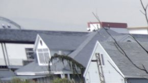 Equinix declaró que llevará a cabo una investigación exhaustiva sobre el derrame y que se compromete a resolver la situación rápidamente.