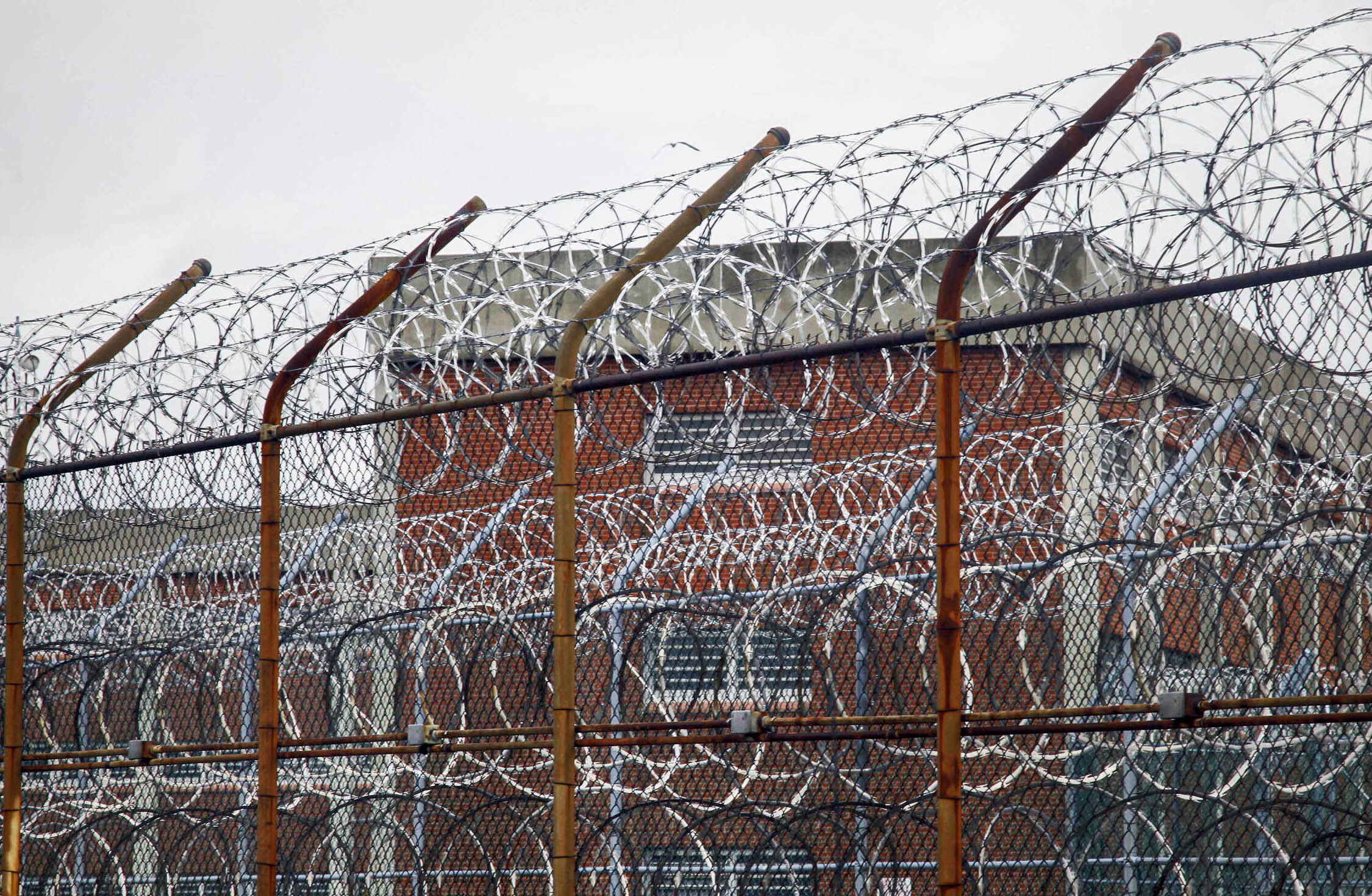 Junta de control detecta negligencia sistemática en Rikers Island vinculada a cuatro muertes