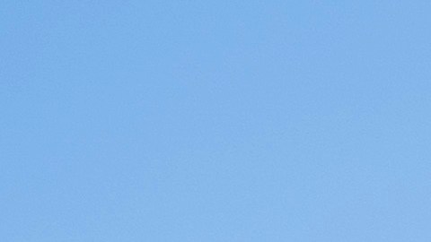 Activistas concentraron sus esfuerzos en solicitar un plazo de transición.