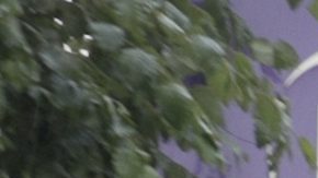El acuerdo entre NYU y el DOJ evita que el hospital tenga que entregar historiales médicos al gobierno, aunque a costa de clausurar por completo todo el programa.
