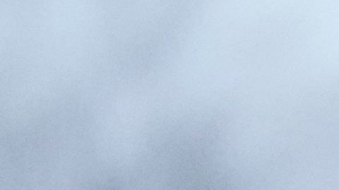 Muchos migrantes dieron direcciones en Staten Island en barrios donde otros descendientes de su país de origen ya se establecieron.