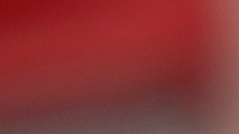 Los ciudadanos de Nueva York pueden consultar dónde vacunarse usando el mapa de proveedores de la ciudad.