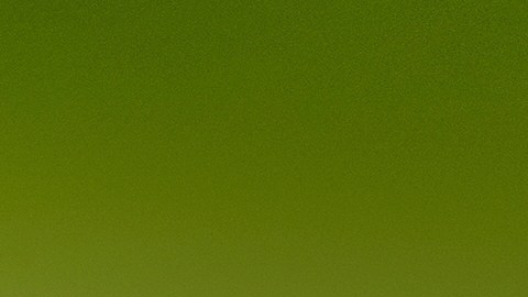 El virus del Nilo Occidental es la única enfermedad transmitida por mosquitos que se sabe que se propaga a los humanos y ha estado afectando a los neoyorquinos por más de 25 años.