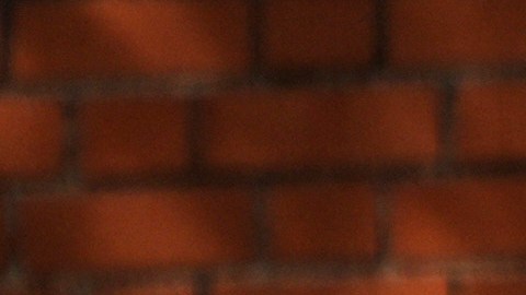 Por ahora, David Venturella continuará como director interino de la agencia.
