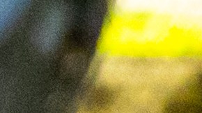 Las detenciones se ejecutaron entre el 27 de julio y el 29 de agosto.