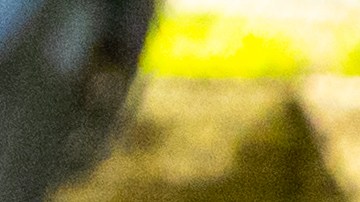 Las detenciones se ejecutaron entre el 27 de julio y el 29 de agosto.