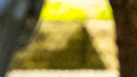 Las detenciones se ejecutaron entre el 27 de julio y el 29 de agosto.